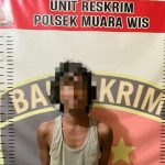 kukar 5