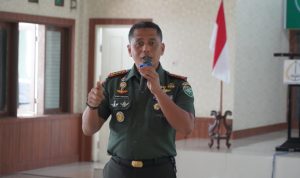 img 20241120 wa0068