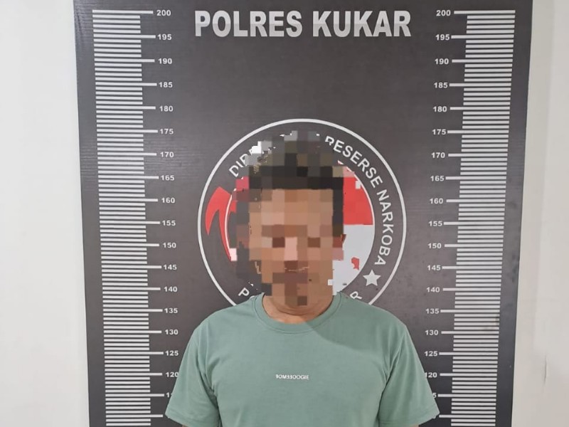 kodam 8