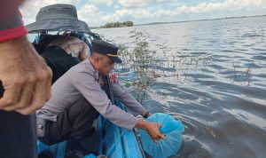 kukar 10 kukar 10