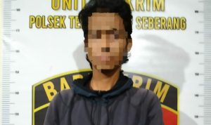 kukar 3 kukar 3