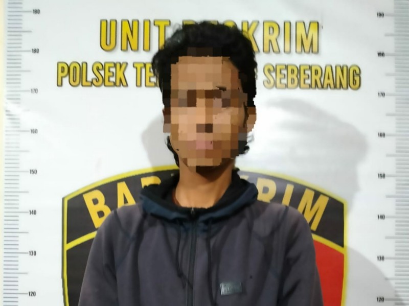 kukar 3