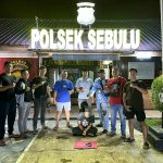 kukar 4