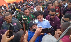 whatsapp image 2024 11 15 at 10.00.09