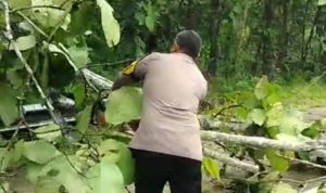 kodam