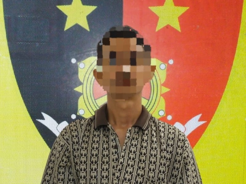 kodam 6