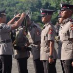 kompol 5 kompol 5