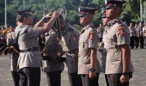 kompol 5
