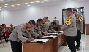 kompol 8 kompol 8