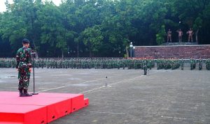 img 20250117 wa0011 img 20250117 wa0011