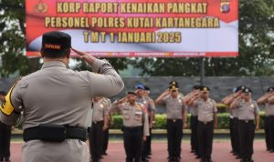 kompol 17
