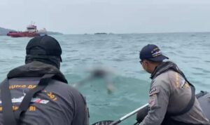 img 20250201 wa0066