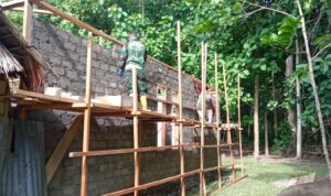 img 20250226 wa0021