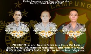 img 20250318 wa0030 img 20250318 wa0030