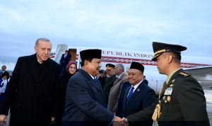 img 20250411 wa0002