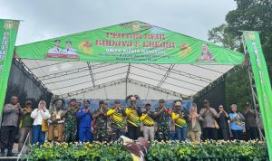 img 20251122 wa0013