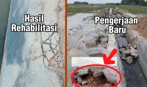 img 20260106 wa0013