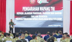 img 20260203 wa0052