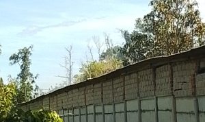 img 20260410 wa0011