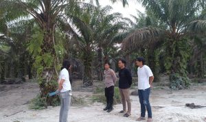 img 20260415 wa0062