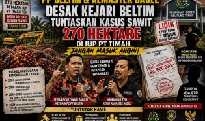 img 20260525 wa0008