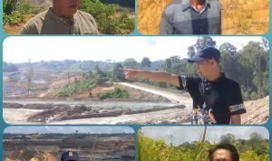 img 20260526 wa0016