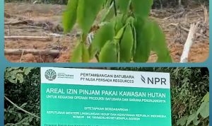 img 20260602 wa0019