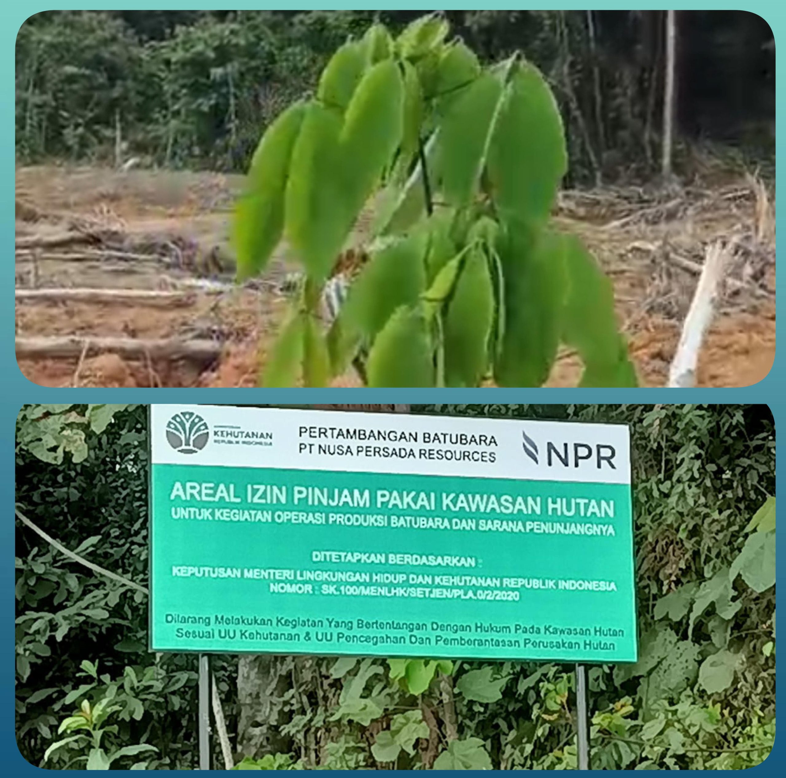img 20260602 wa0019