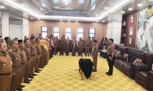 img 20260611 wa0029
