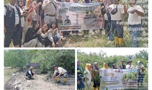 img 20260720 wa0017 img 20260720 wa0017