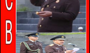 1786973784466 1786973784466