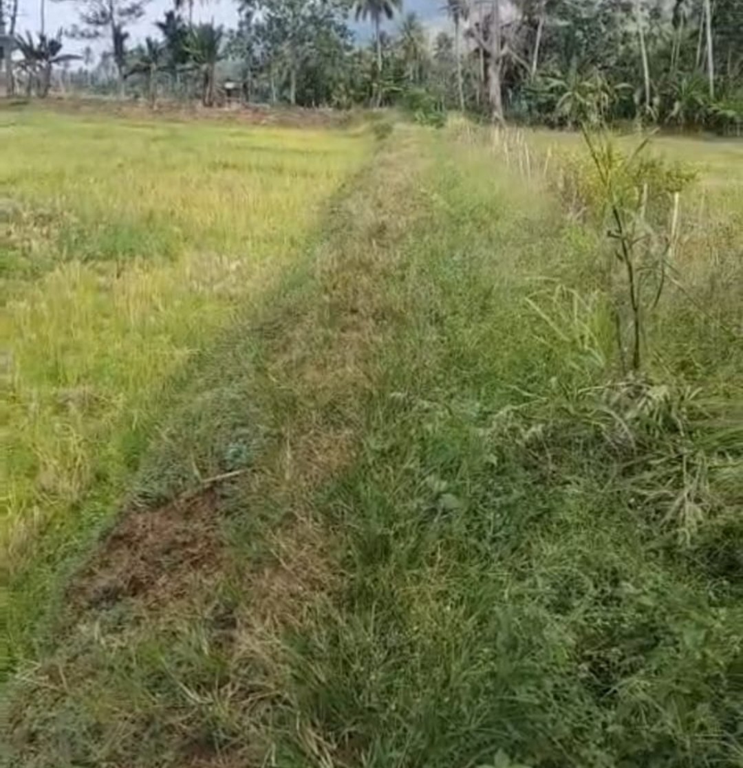 img 20260803 wa0006