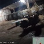 img 20260922 wa0024 img 20260922 wa0024