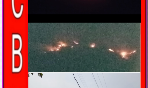 1791277940283